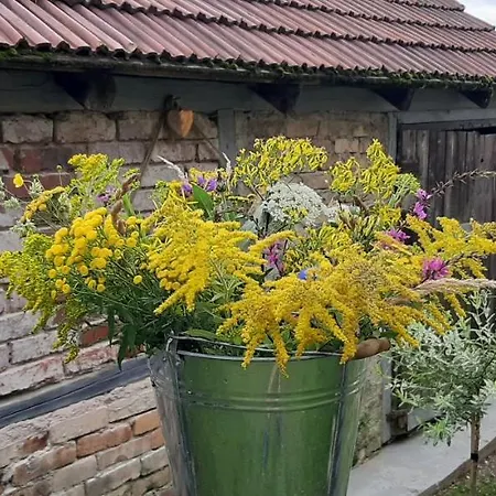 Apartament Czar-nów