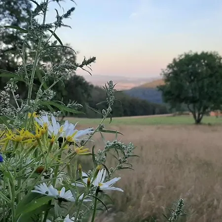 Apartament Czar-nów *