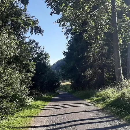 Apartament Czar-nów