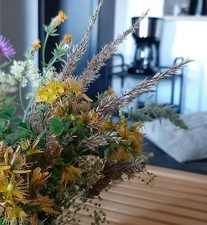 Apartament Czar-nów