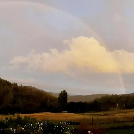 Apartament Czar-nów