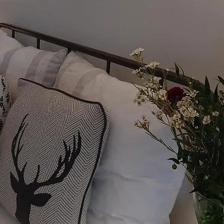 Czar-nów Apartamento