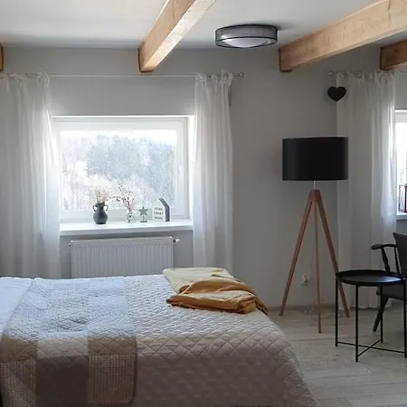 Apartament Czar-nów *