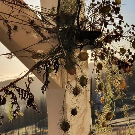 Czar-nów Czarnow (Kamienna Gora)