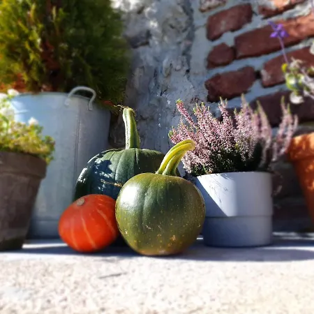 Czar-nów Apartament *