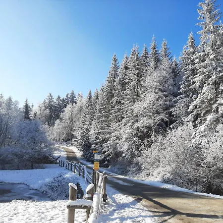 Apartament Czar-nów *