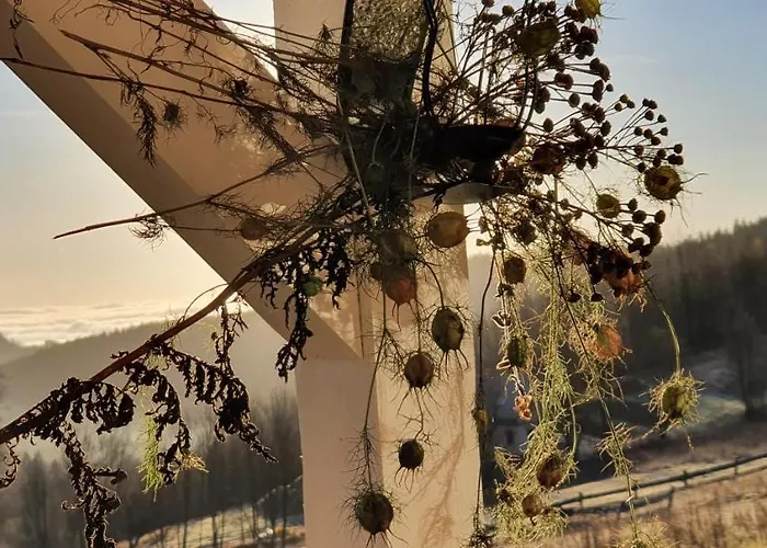 Czar-now Czarnow (Kamienna Gora)